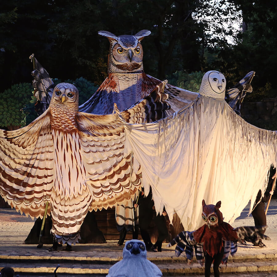 Story Myth And Magic By Paperhand Puppet Intervention In The Nicholson   Paperhand Resize 