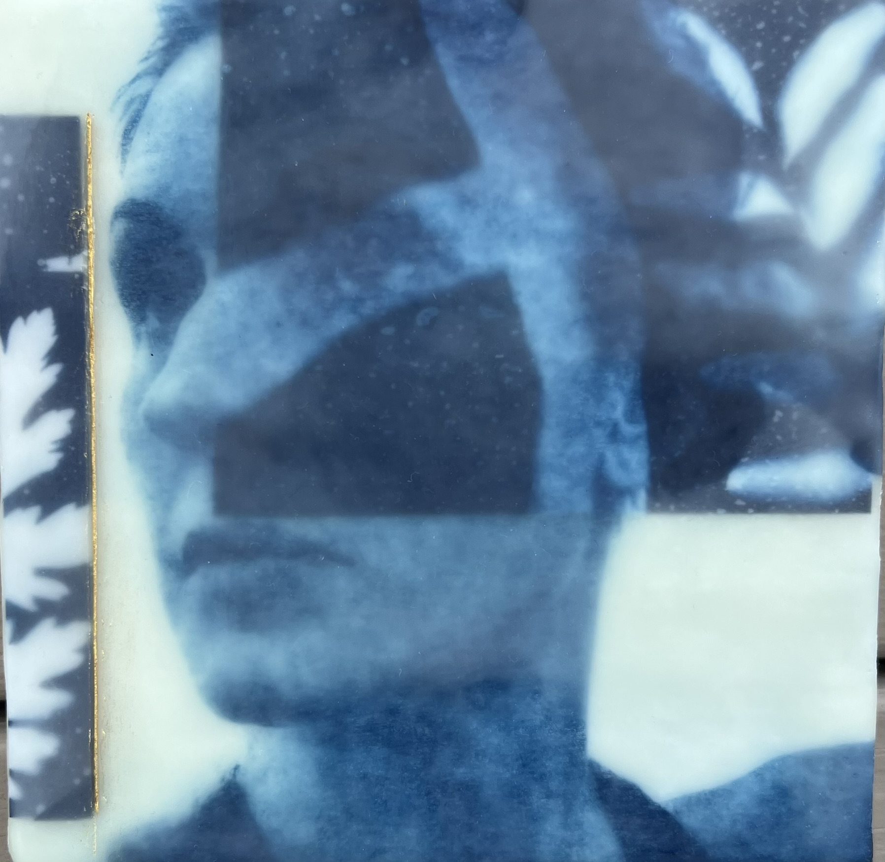 A blue-toned, abstract portrait of a woman’s face, partially obscured by geometric shapes and overlapping textures, alongside leaf and floral patterns. The overall effect is layered and dreamy.