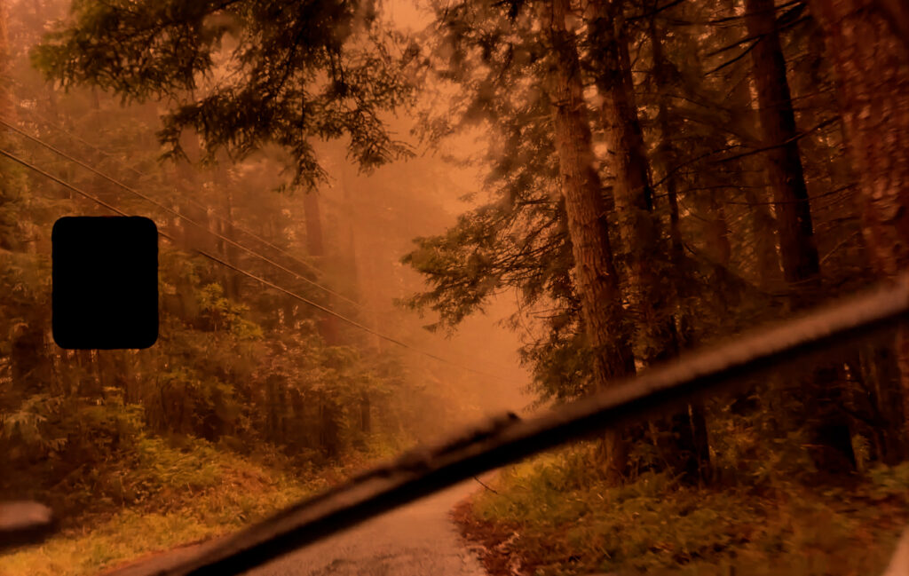 View from a car driving down a rainy forest road, seen through a wet windshield; trees appear in orange light.