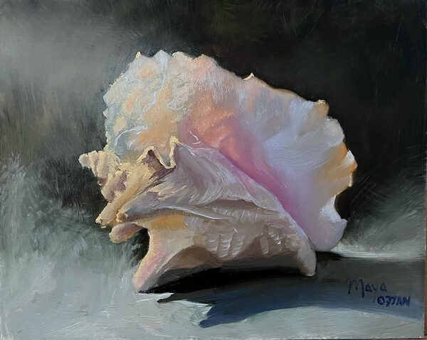 A detailed painting of a pink conch shell on a gray surface with soft, natural lighting and a dark, blurred background.